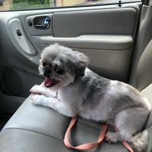 Meet your Posher, Marisa